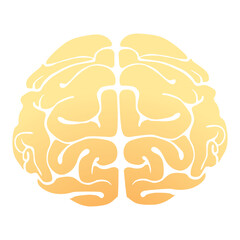 Stylized yellow gradient brain illustration, abstract anatomy concept, intelligence and creativity symbol.