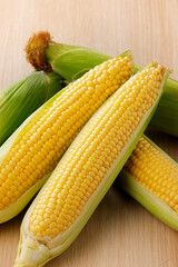 新鮮なとうもろこし　Fresh Sweet Corn