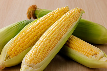 新鮮なとうもろこし　Fresh Sweet Corn