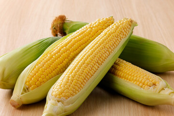 新鮮なとうもろこし　Fresh Sweet Corn