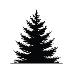 Obraz premium Silhouette of a lush green pine tree with detailed needles and a textured appearance