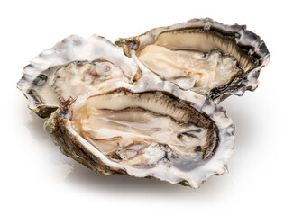 Opened raw oysters isolated on white background, clipping path. Delicacy food. © volff