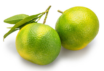 Green tangerines and tangerine leaves isolated on white background. File contains clipping paths.