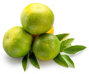 Green tangerines with green leaves isolated on white background. File contains clipping paths.