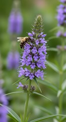 Obraz premium Honeybee on a vibrant cluster of purple flowers.