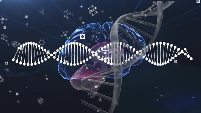Animation of brain and shapes over dna strands - Powered by Adobe