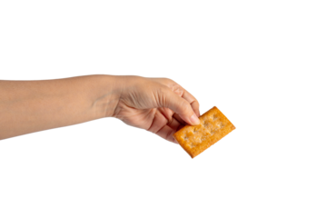 Square cracker in hand on transparent background