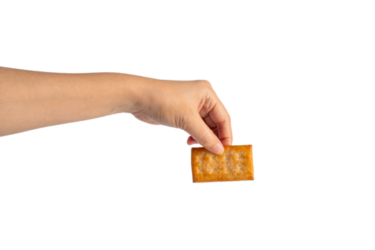 Square cracker in hand on transparent background