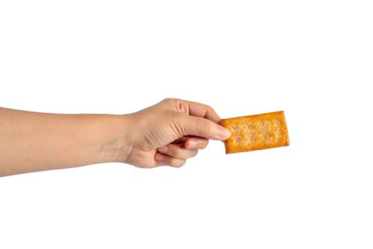 Square cracker in hand on transparent background