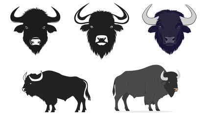 Fototapeta premium Buffalo Black Silhouette Vector Graphic Design