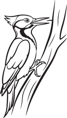 Obraz premium a woodpecker Line Art Vector Illustration