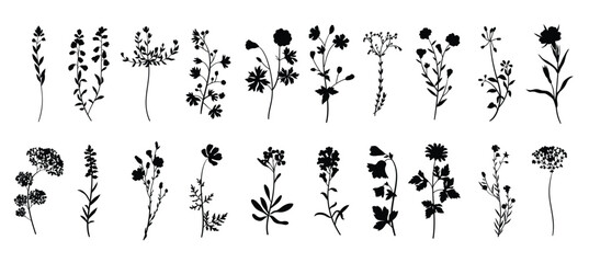 Collection of floral and botanical elements set of leaf