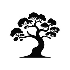 Silhouette of a majestic bonsai tree with lush green foliage and gnarled trunk