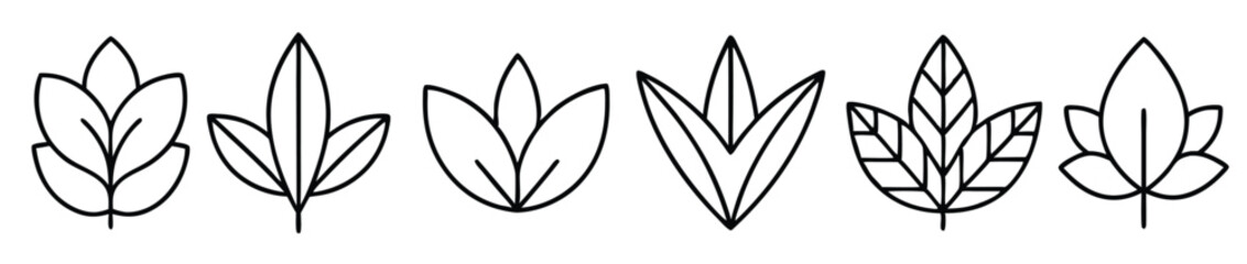  leaf plant art decorative collection