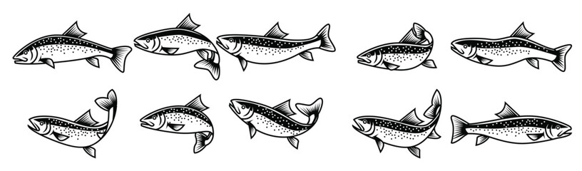 rainbow trout vector for your needed Rainbow Trout