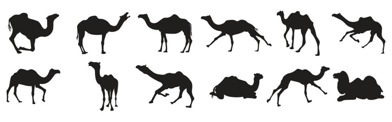  set camel silhouette vector illustration