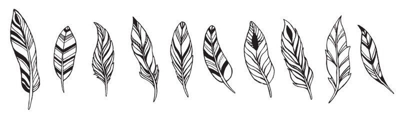 Set of Pluma vector illustration