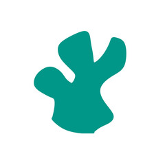 corals shape illustration