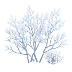 Obraz premium Artistic depiction of frosted leaves, showcasing a winter plant on a black background.