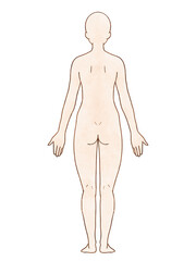 Fototapeta premium 解剖学的正位 女性 背面 水彩風