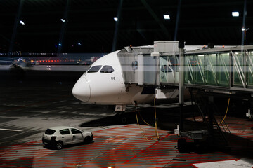 The airplane is being loaded at the airport, preparing for its next flight. This moment captures...