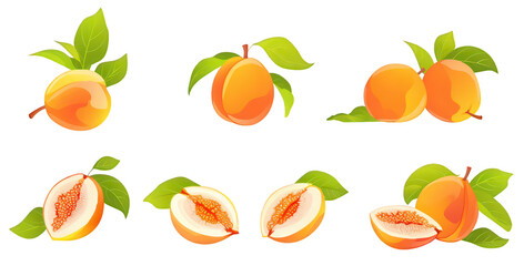 Flat food icons of fig peaches in vector style