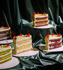 Layers of vibrant cakes in various flavors are neatly arranged on circular bases