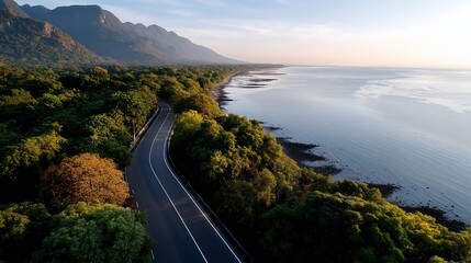 Aerial view of coastal road winding alongside a tranquil, forested shoreline