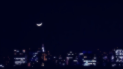 三日月のメトロポリス