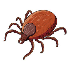 Ixodid tick, parasitic insect that carries viruses, bacteria, protozoa. Prevention of the spread of tick-borne encephalitis, tick-borne borreliosis, hemorrhagic fever, tularemia, babesiosis, etc.