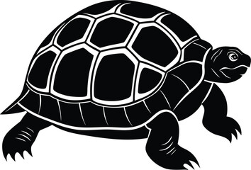 Black and White Turtle Illustration with Detailed Shell Pattern and Gentle Expression on white background