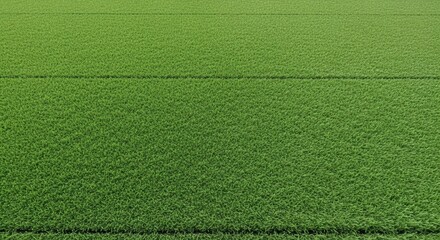 A lush green field with horizontal lines creating parallel sections