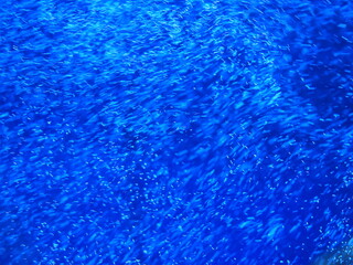 water air bubbles abstract background 