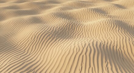 Obraz premium Rippling sand dunes under soft light creating patterns of shadow and light