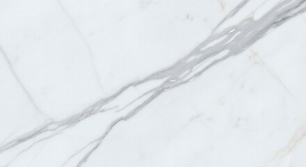 White marble with gray veining