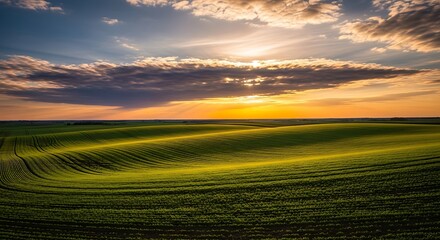 Obraz premium Sunset over a Lush Green Field.
