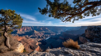 Canyon vista from cliffside with blue sky & tree branch in the foreground