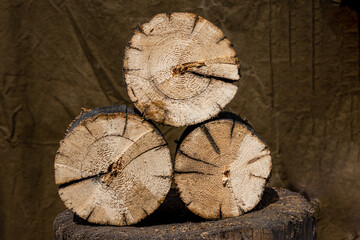 Naklejka premium Wood Logs Ready for Splitting on Tree Stump