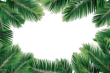 Naklejka premium Tropical palm leaves frame a dark center