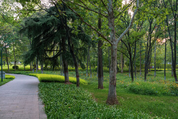 path in the park