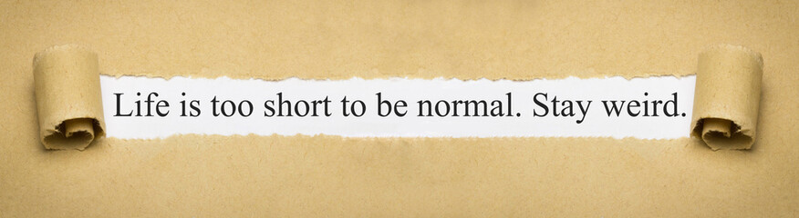 Life is too short to be normal. Stay weird.