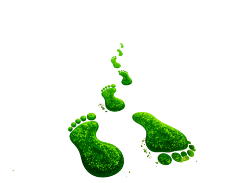 Eco-friendly green footprints on white background