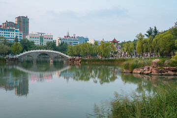 Fototapeta premium lake in the city park