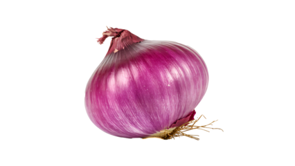 The image features a single red onion, centered against a crisp white background. The onion is a rich purple-red color with distinctive vertical stripes on the skin. Small roots are visible underneath