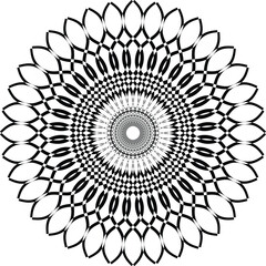 Vector illustration of a floral ornament
