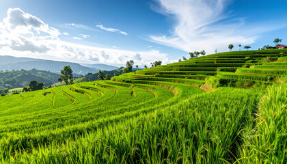 Fototapeta premium Lush green rice terraces under blue sky, vibrant landscape with rolling hills, minimal composition, peaceful atmosphere, natural beauty, scenic countryside, overlay space