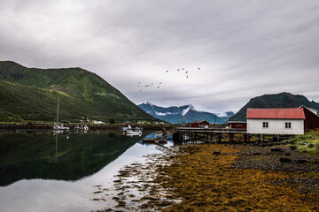 Obraz premium Moody morning by the calm fjord on Senja