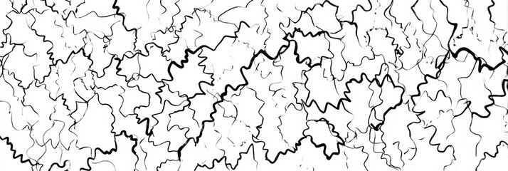 Obraz premium Abstract Black and White Line Drawing Featuring Intricate Swirling Leaf Shapes Created in a Unique Artistic Style Suitable for Modern Decor