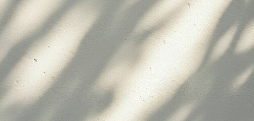 Shadows of leaves are cast on a light colored wall surface, forming a calm minimalist scene that feels natural, airy, and visually balanced with soft subtle lighting.