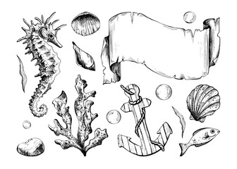 Hand drawn line art illustration of coral, scroll paper, seahorse, anchor and seashells. Black ink marine collection with bubbles, perfect for clipart, nautical invitations, coastal vintage projects.